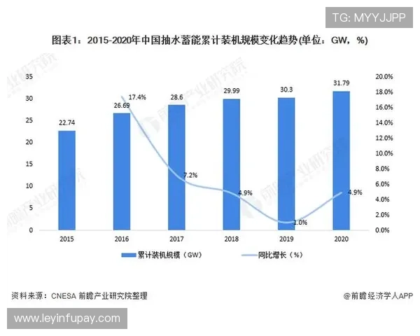 武汉羽毛球队实力分析与发展前景的深度探讨与展望 武汉羽毛球队实力分析与发展前景的深度探讨与展望