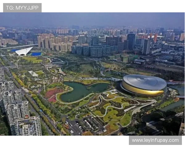 上海乒乓球队的速度之美与技术探秘全景分析