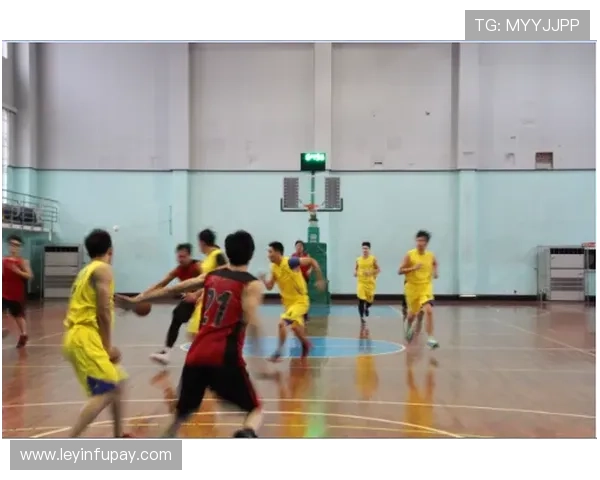 深入探讨上海篮球队的战术配合与球员默契度的全面对比分析