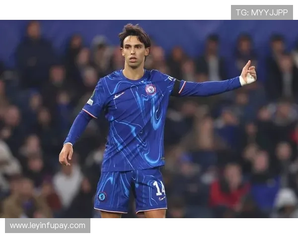 足球明星们的健康饮食新宠牛油果如何助力他们的竞技状态与表现